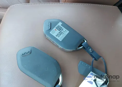 2024 Kia Telluride Ex X-Line z USA, uszkodzony, nr VIN 5XYP3DGC9RG475442